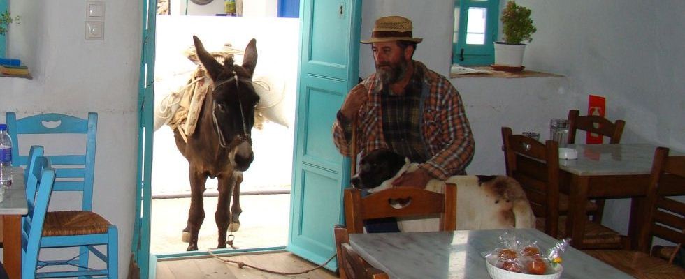 A coffee shop on Amorgos