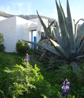 Stroumbos on Amorgos